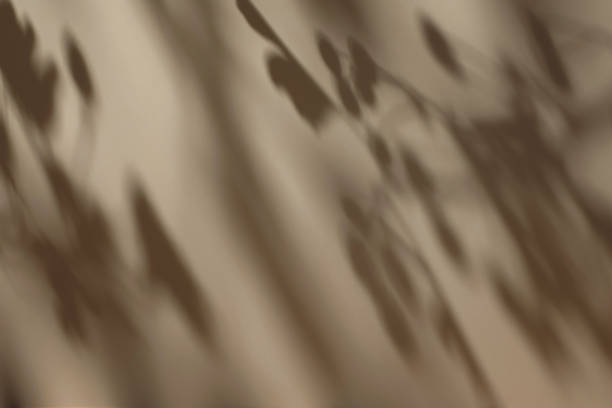 istock scene with polygonal podium on beige background and shadows 1435288878