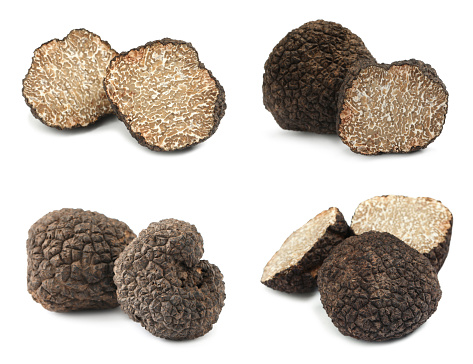 Set with expensive delicious black truffles on white background