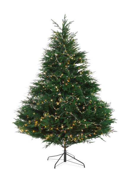 bellissimo albero di natale con le luci di stringa isolate su bianco - christmas tree christmas tree artificial foto e immagini stock