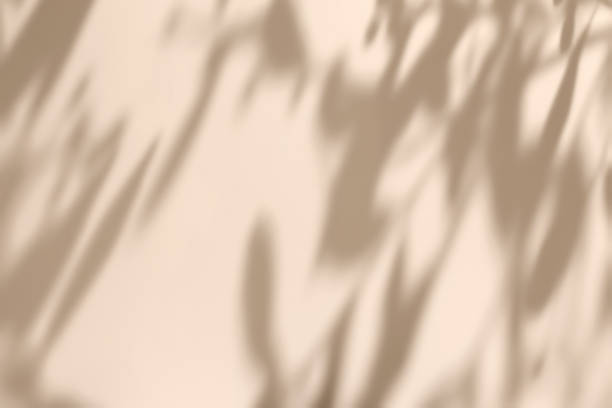 istock scene with polygonal podium on beige background and shadows 1435289369