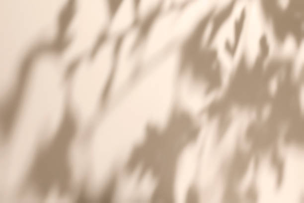 istock scene with polygonal podium on beige background and shadows 1435289372