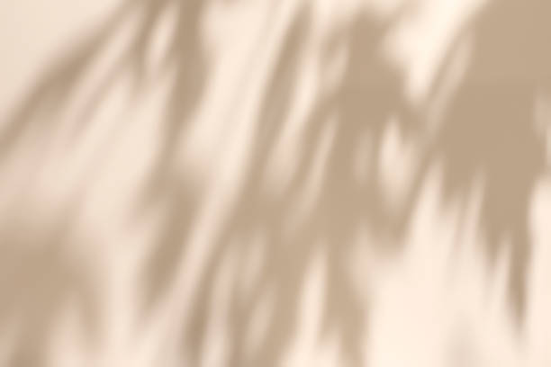 scene with circle podiums on beige background and shadows