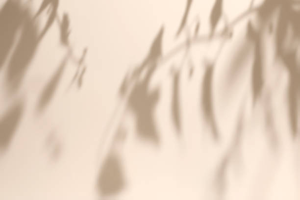 istock scene with white podium on beige background and shadows 1435290156
