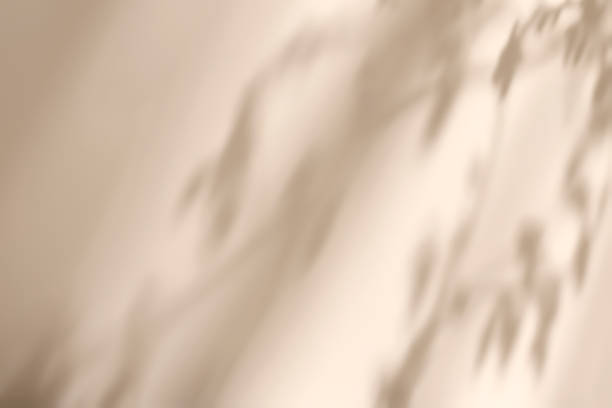 istock scene with white podium on beige background and shadows 1435290176