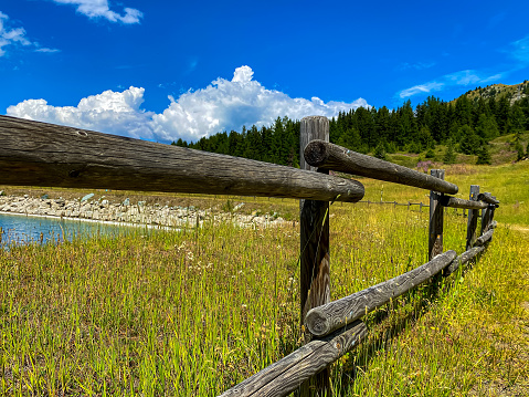 Beautiful view over a wooden fence between wooden fence posts, framed by a tall Alp’s Pine tree mountain forest backdrop. Country basic handmade rural wooden fence near lake, blue sky backdrop