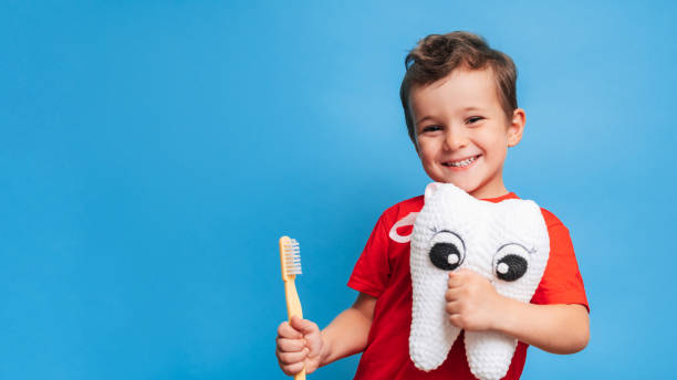 un niño sonriente con dientes sanos sostiene un diente de felpa y un cepillo de dientes sobre un fondo azul aislado. higiene bucal. odontopediatría. prevención de caries. un lugar para tu texto. - cepillar los dientes fotografías e imágenes de stock