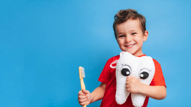 un garçon souriant avec des dents saines tient une dent en peluche et une brosse à dents sur un fond bleu isolé. hygiène buccale. dentisterie pédiatrique. prévention des caries. une place pour votre texte. - hygiene dental hygiene human teeth child photos et images de collection