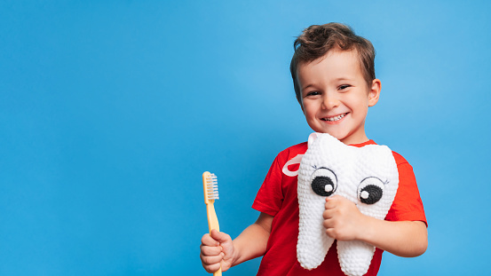 A smiling boy with healthy teeth holds a plush tooth and a toothbrush on a blue isolated background. Oral hygiene. Pediatric dentistry. Prevention of caries. A place for your text