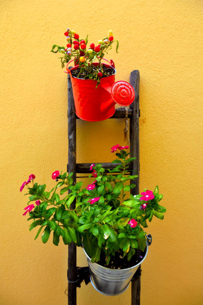 istock montalbano jonico basilicata italy 1435297728