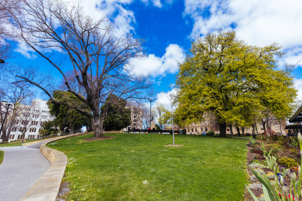 istock Franklin Square in Hobart Tasmania Australia 1435298005