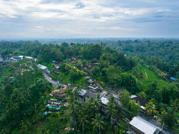 istock Rice Terrace in Bali Indonesia 1435298254