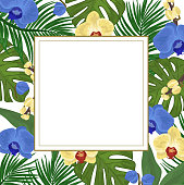 istock Floral background with blue and yellow orchid flowers and tropical leaves and frame for greeting card, invitations. 1435298267