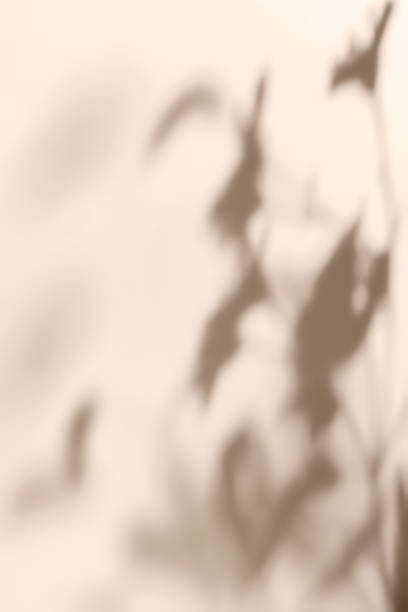 istock scene with white podium on beige background and shadows 1435302023