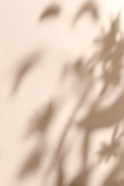 istock scene with square podium on beige background and shadows 1435302141