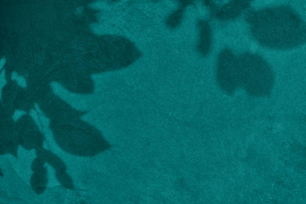 Shadow of leaves on turquoise green teal concrete wall texture with roughness and irregularities. Abstract nature concept background. Copy space for text overlay, poster mockup flat lay
