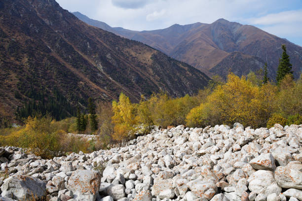 Ak Sai valley autumn landscape. Stone run, Tian Shan fir trees and view on high snow covered peaks of  Tian Shan mountains.  Ala Archa national park, Kyrgyzstan