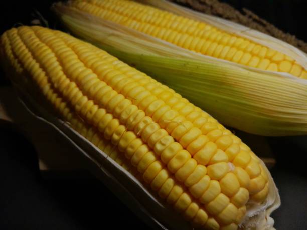 istock close up of sweet corn on a black background 1435308046