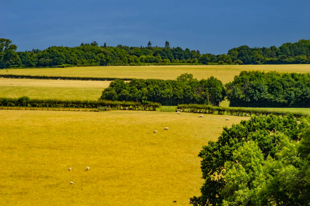istock chesterton windmill (Capability Brown) Warwickshire England UK 1435309351