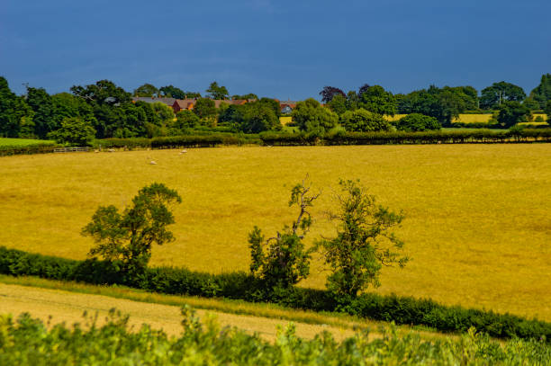 istock chesterton windmill (Capability Brown) Warwickshire England UK 1435309552