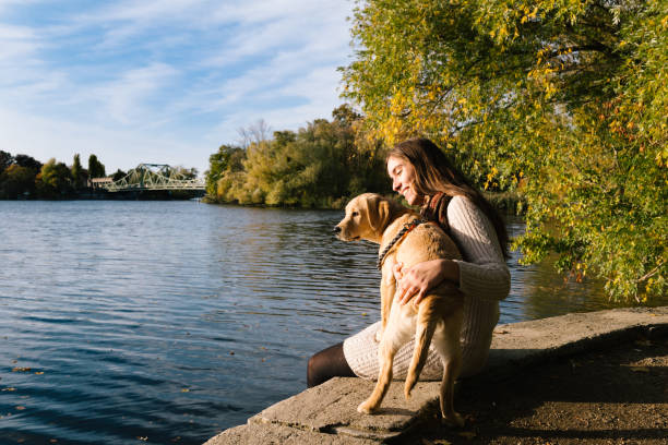 Young woman sitting on the waterfront with Labrador puppy stock photo