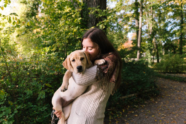 Mujer joven sosteniendo a un cachorro de Labrador en sus brazos - foto de stock