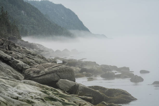 istock Early morning fog 1435310899