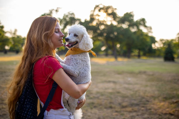 istock Best friends in park 1435311543