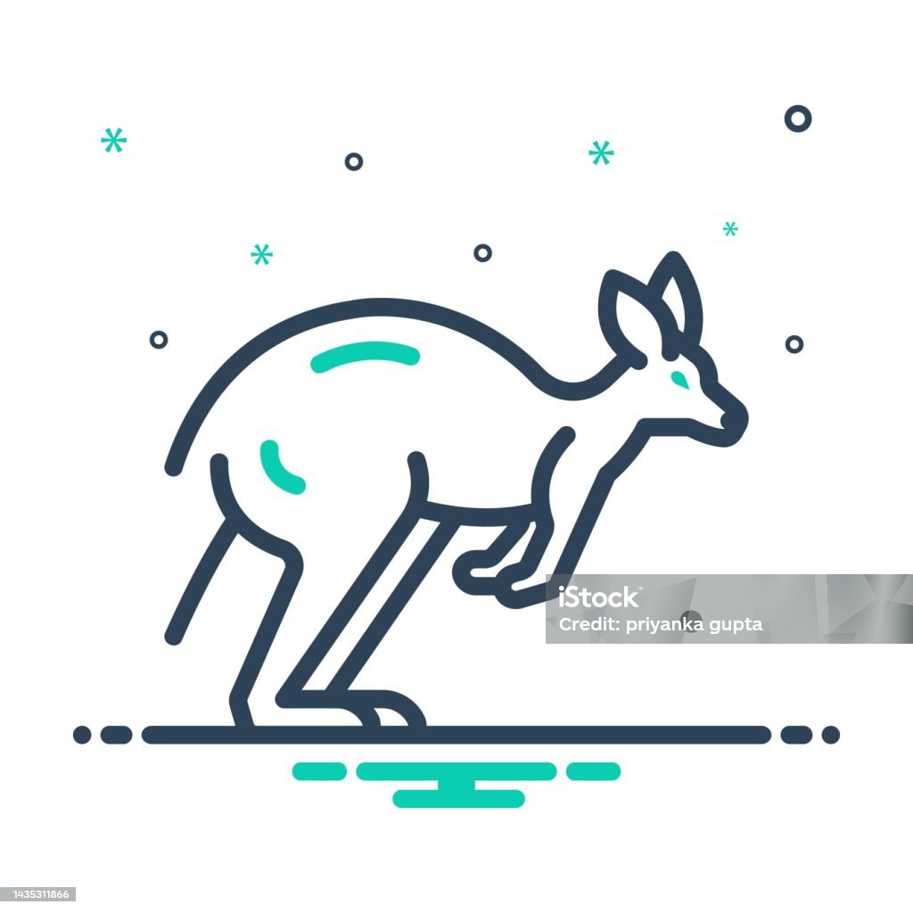 Wallaby Vector Australian Wallaby Stock Illustration - Download Image Now - Animal ...