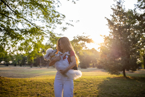 Young woman holding her cute white poodle in her arms outdoors in park.