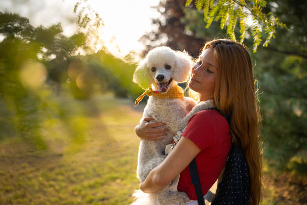 istock Woman holding her dog 1435312068