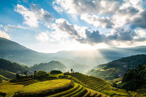 Aerial view of terraced fields with sunbeams at Longji Town, Guilin