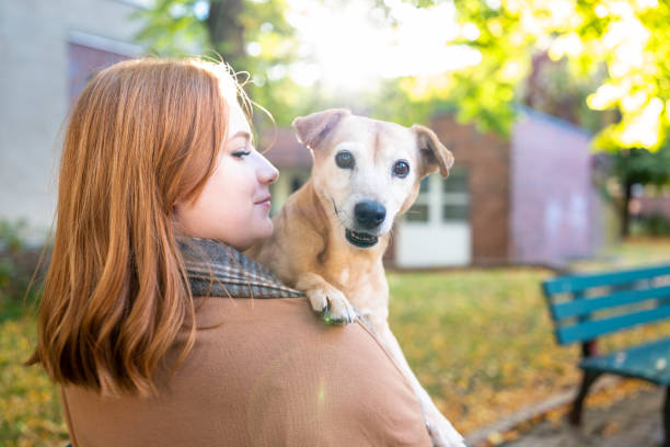 istock woman hugs senior mixed-breed dog 1435319176