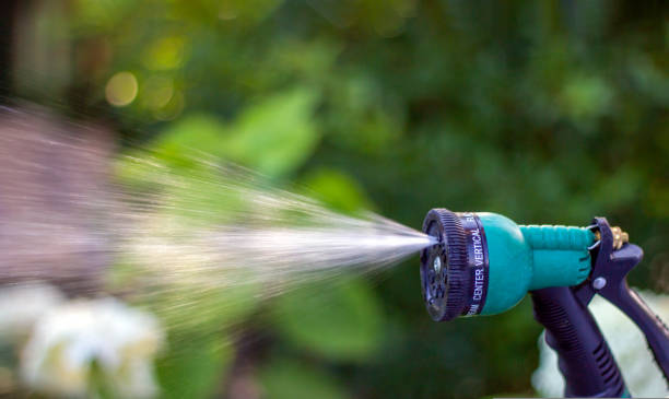 istock Summer garden watering with a garden hose, adjustable shower, spray 1435321083