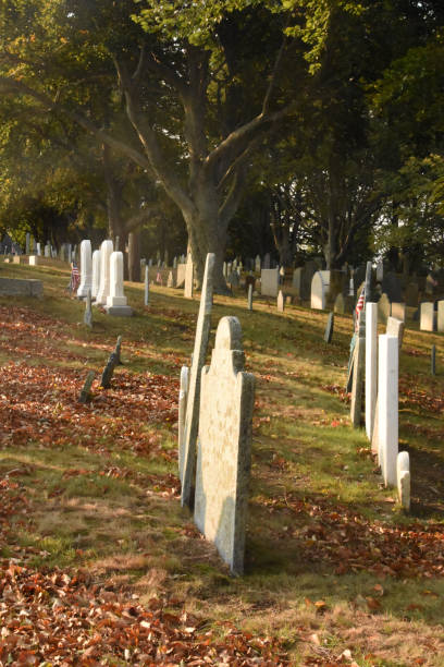 istock Historic Old Grave Stones in a Cemetery 1435321722