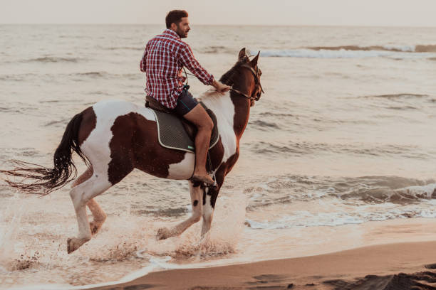 współczesny mężczyzna w letnich ubraniach lubi jeździć konno po pięknej piaszczystej plaży o zachodzie słońca. selektywne ustawianie ostrości - cowboy horseback riding nature blue zdjęcia i obrazy z banku zdjęć