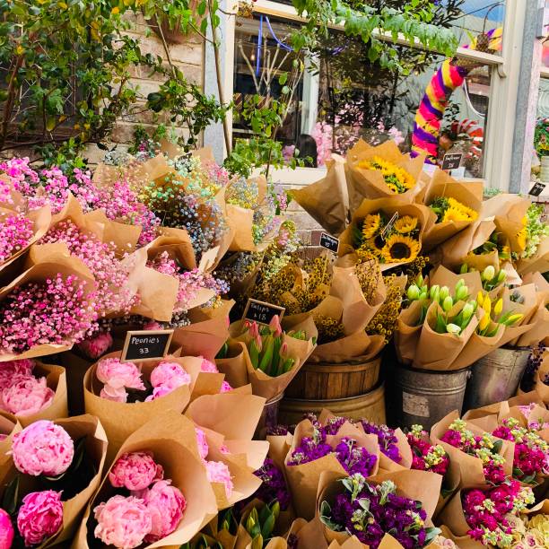 fleurs sur un marché - flower market photos photos et images de collection