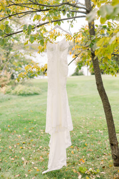istock Wedding Dress Hanging on a Tree Branch 1435327164