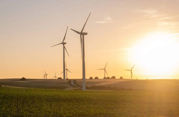 istock Wind power turbines at sunset 1435327170