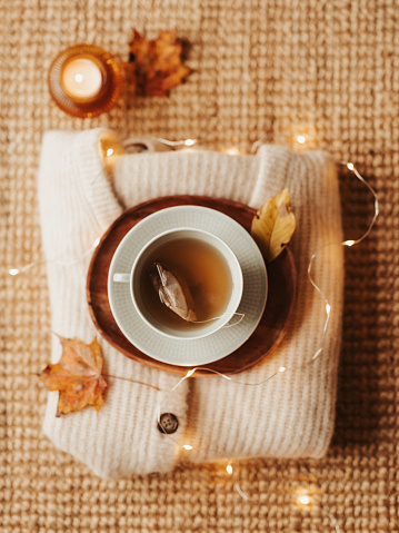 Cozy autumn tea still life with soft sweaters and lights
Still life of tea cup