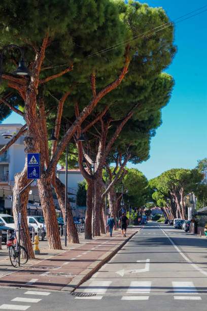 istock Street of Rimini 1435331188
