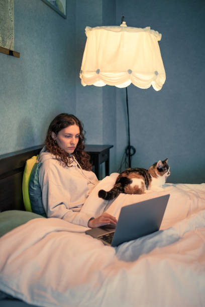 istock Young woman working from home with a cat 1435333773
