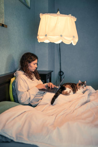 istock Young woman working from home with a cat 1435333788