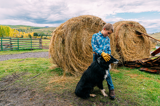 Copy Space Wide Angle Portrait of a Cute Stoic Male Caucasian Rancher Child Wearing a Button Down Shirt and Work Gloves Standing in Front of a Large Circular Bale of Hay Petting the Family Cow Dog on a Small Town Family-Owned Ranch in Colorado, USA