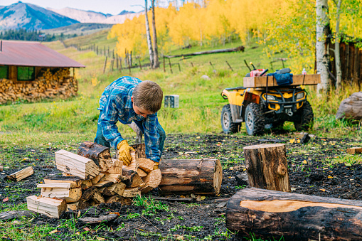 Young Caucasian Rancher Boy Stacking Pieces of Freshly Cut Firewood on a Sunny Fall Day on a Small Town Family-Owned Ranch in Colorado, USA