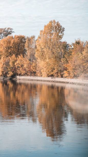 istock Group of trees reflected in Saint Charles river in Quebec 1435337862