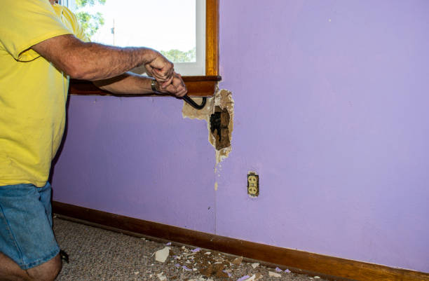 istock Termite infestation causes trouble for the homeowner 1435338723
