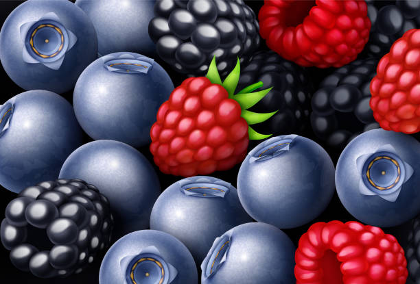 himbeere, brombeere, blaubeere süßbeeren mix hintergrund - blackberry blueberry raspberry fruit stock-grafiken, -clipart, -cartoons und -symbole