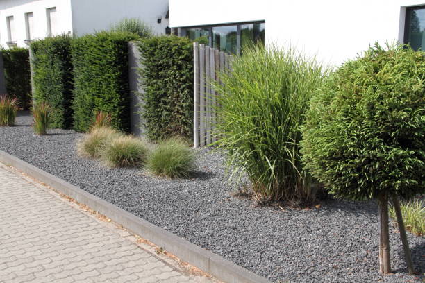 istock a modern front yard with stones and plants 1435342689