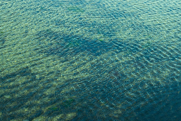 Clear water near the beach