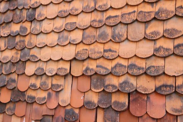 istock broken roof tiles 1435348805